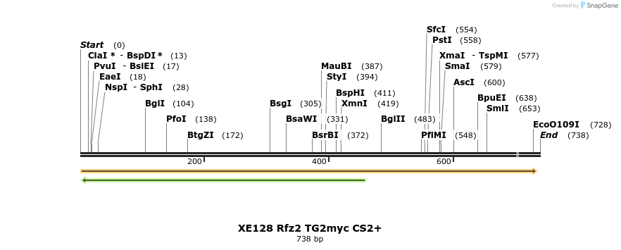 23395_map