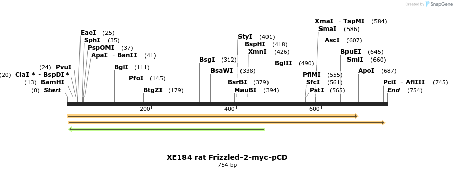 23397_map