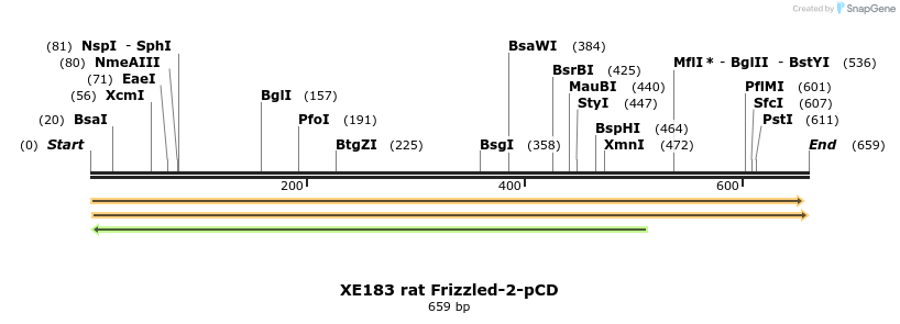 23398_map