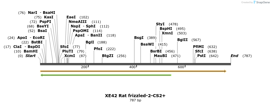 23399_map