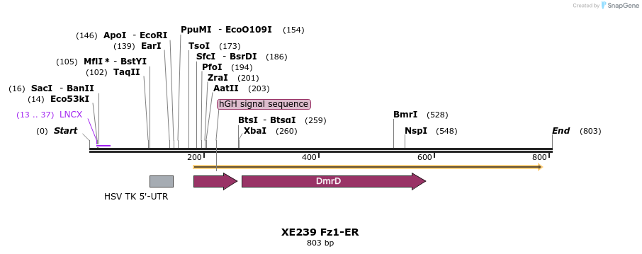 23402_map