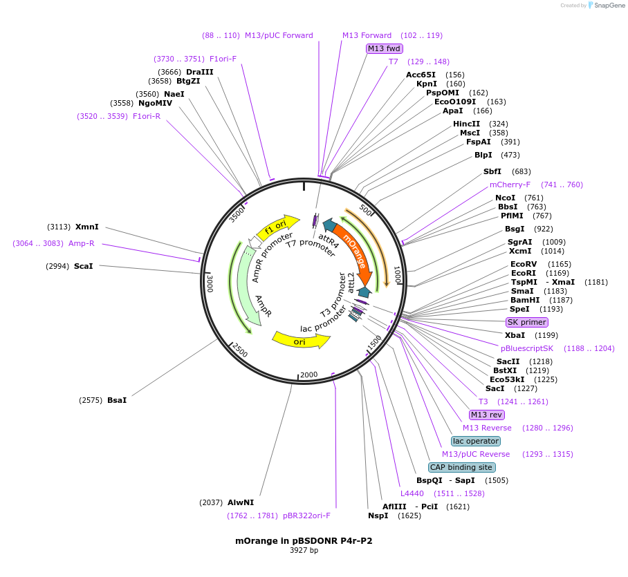 234042_map