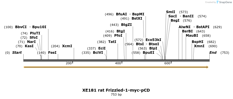 23405_map