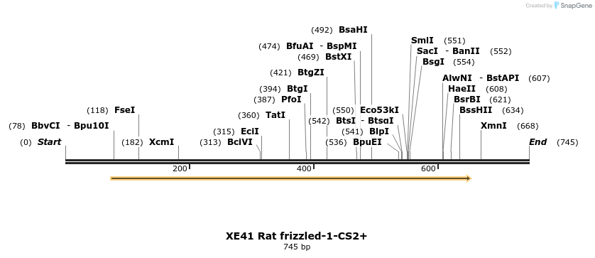 23406_map