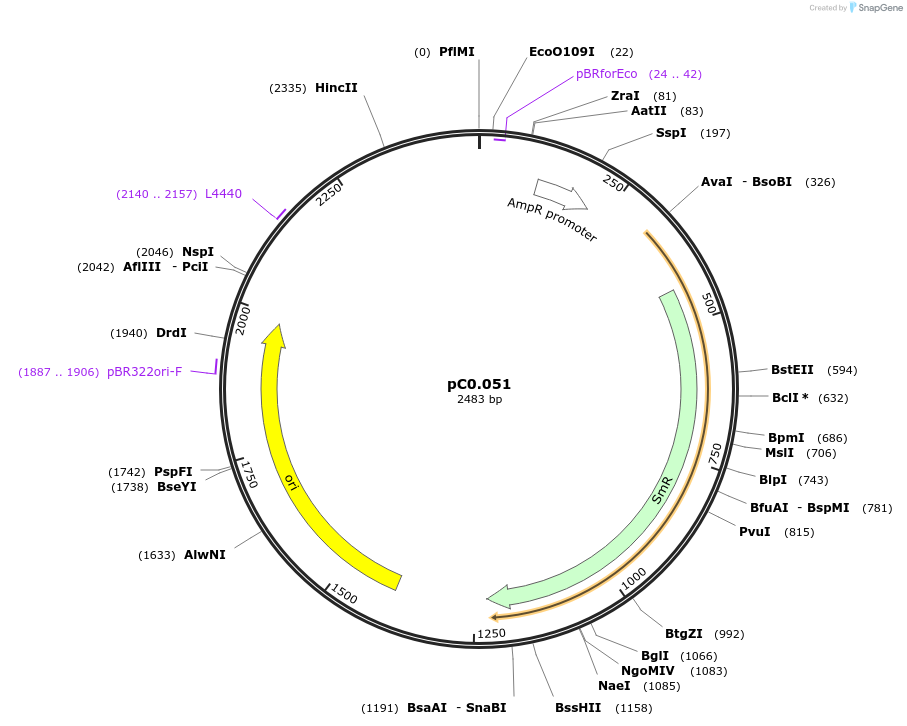 119569-plasmid-map-sequence-id-234083