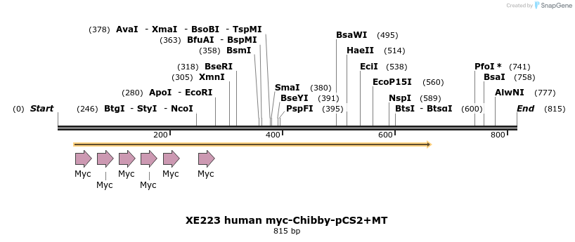 23409_map
