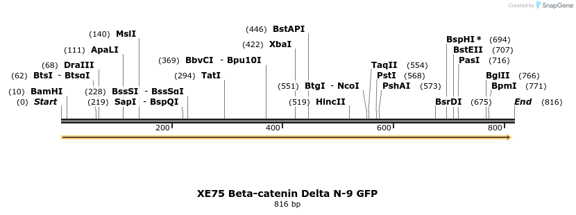 23410_map