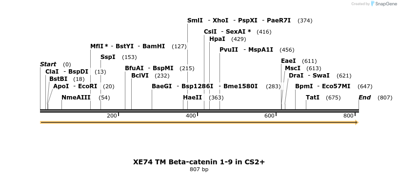 23411_map