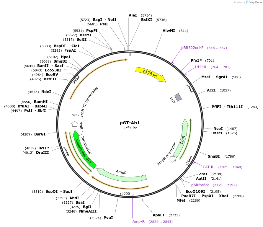 234112_map