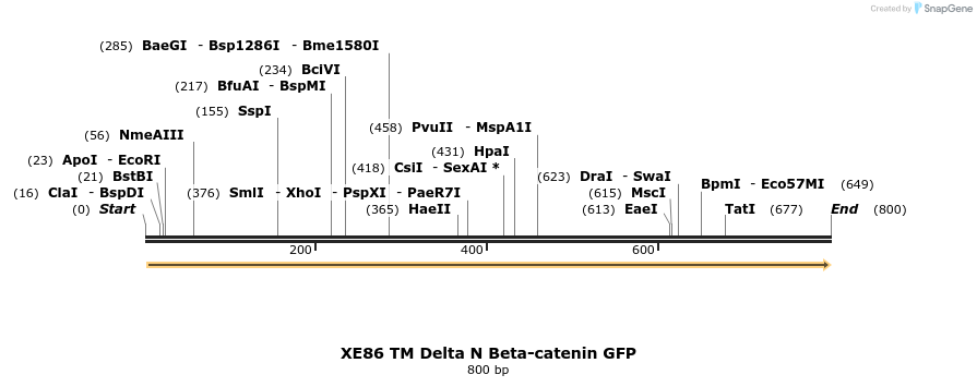 23412_map