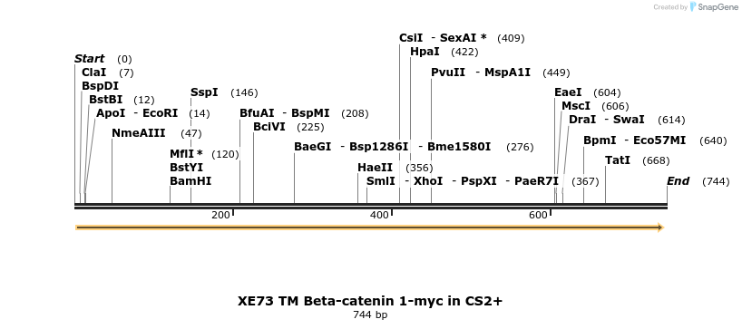 23413_map