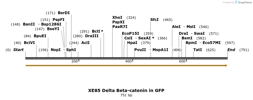 23414_map
