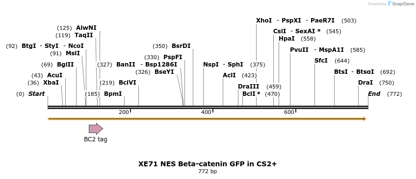 23415_map
