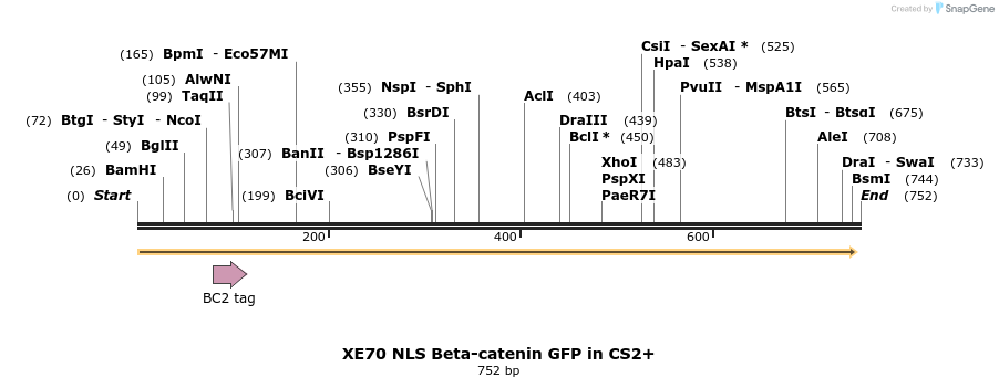23416_map