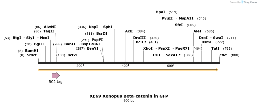 23417_map