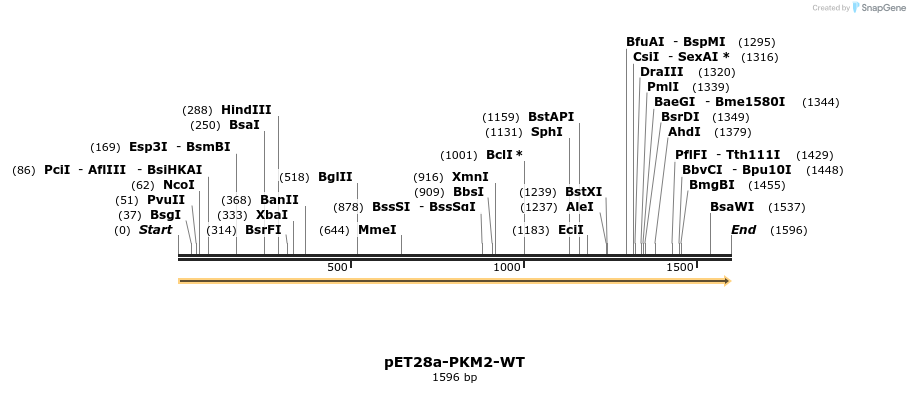 234176_map