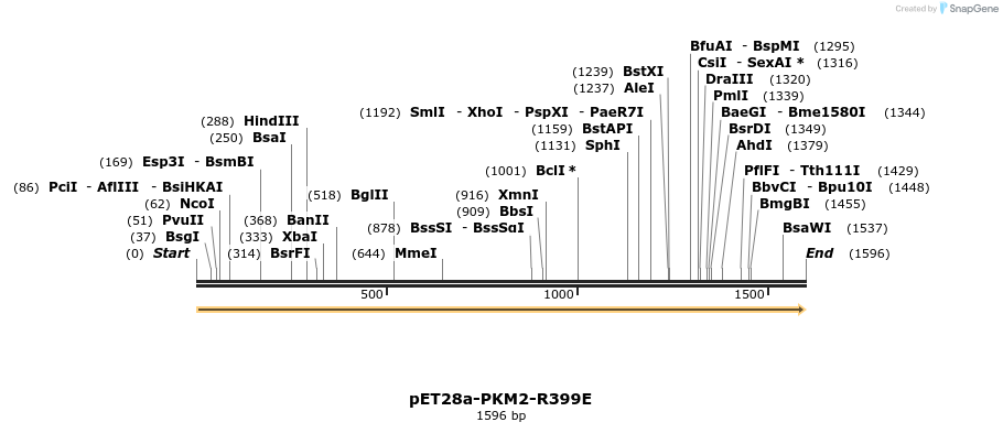 234177_map