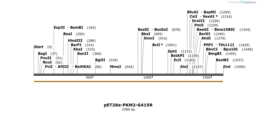234179_map