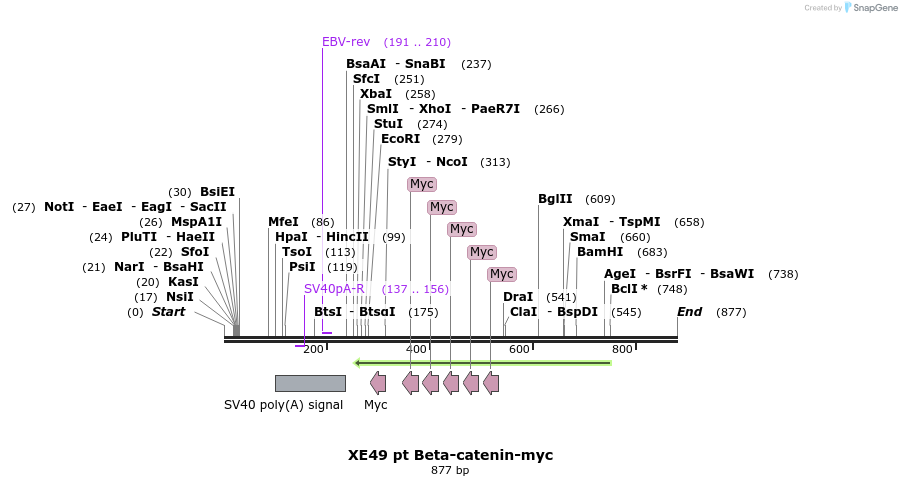 23419_map