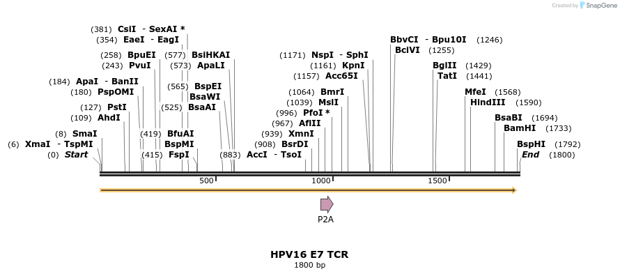 234213_map