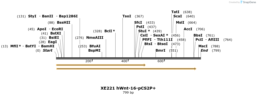 23423_map