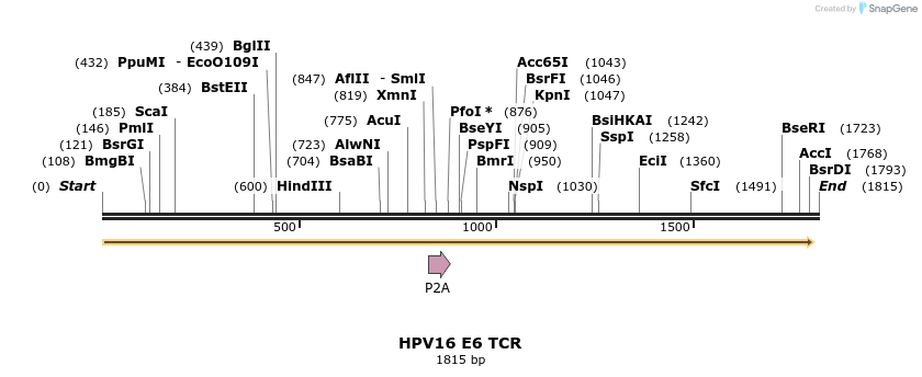 234230_map