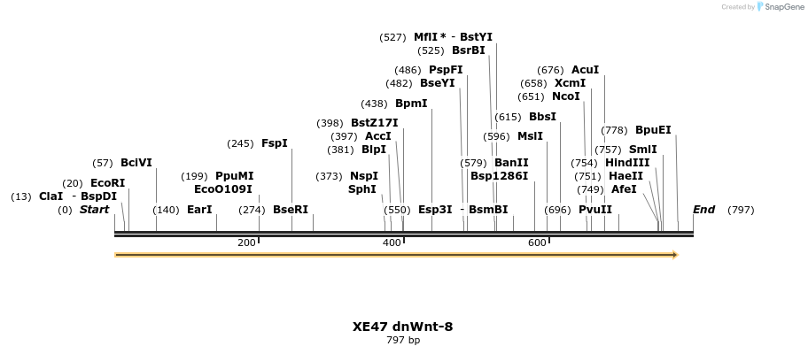 23426_map