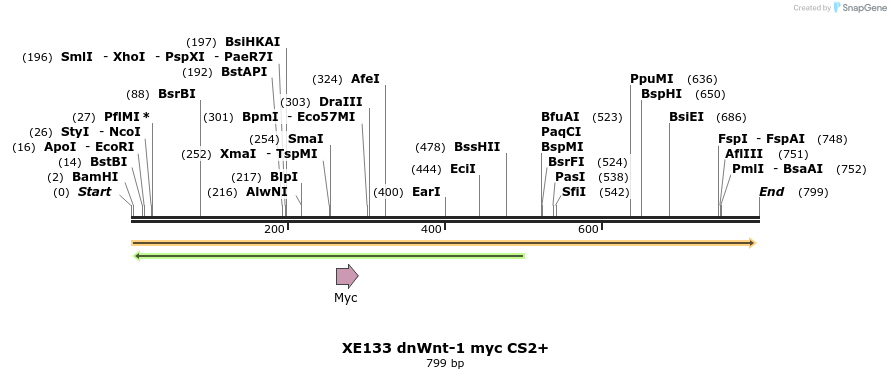 23427_map