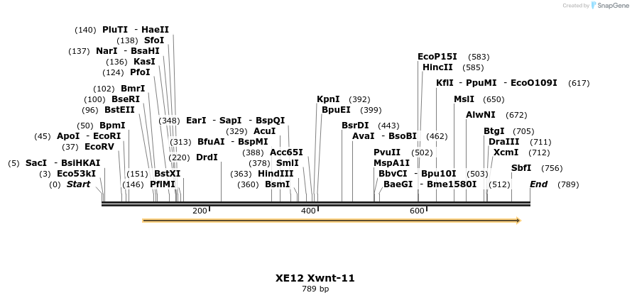 23429_map