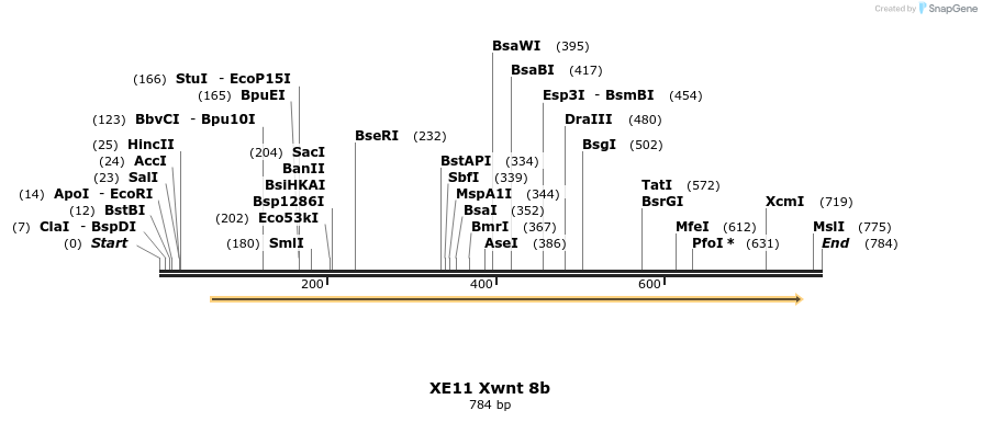 23430_map