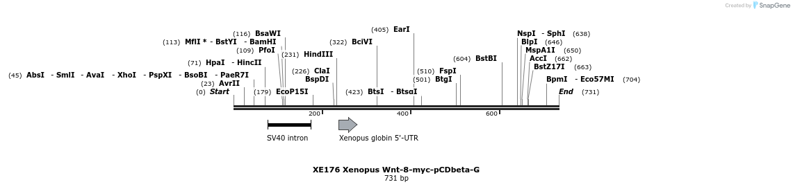23432_map