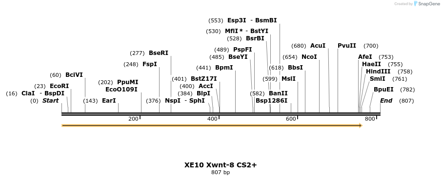 23433_map