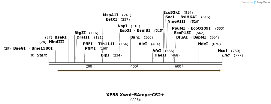 23437_map