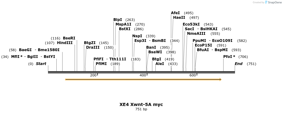 23439_map