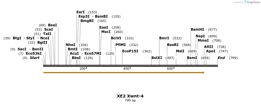 23442_map