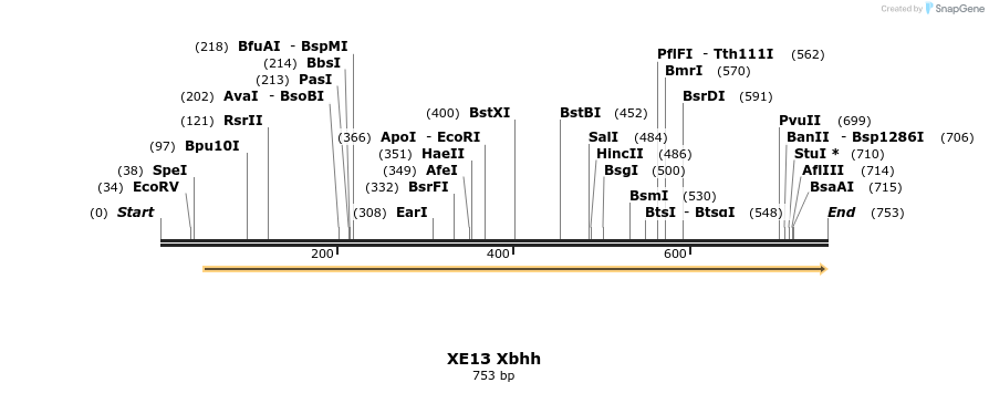 23445_map