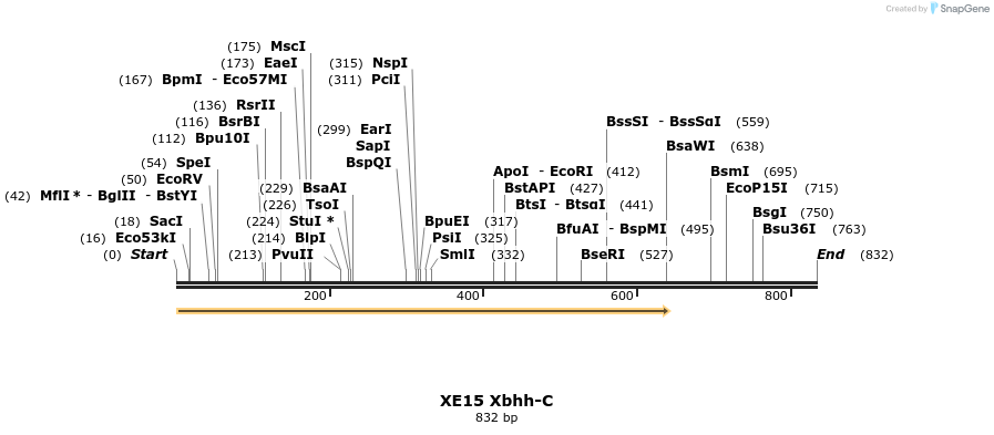 23447_map
