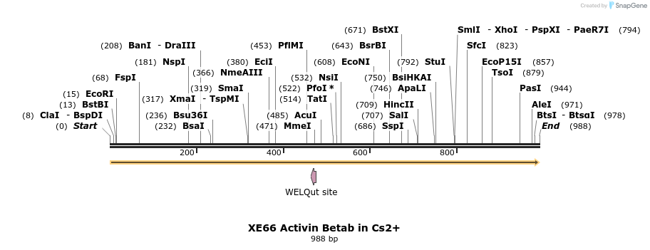 23453_map