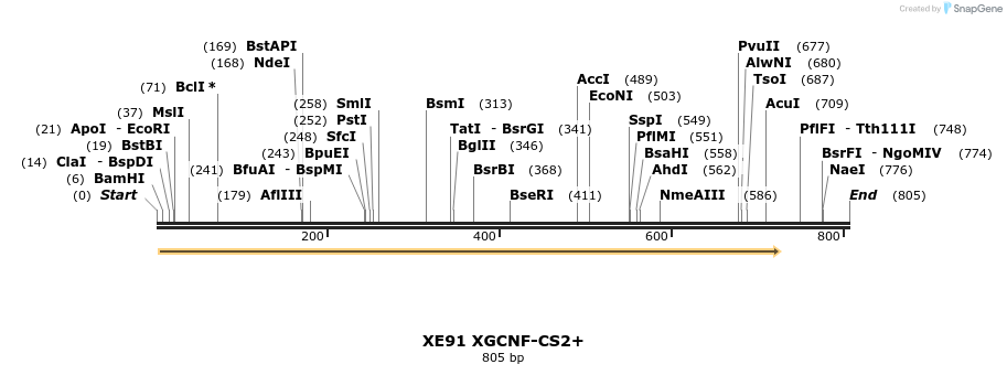 23456_map