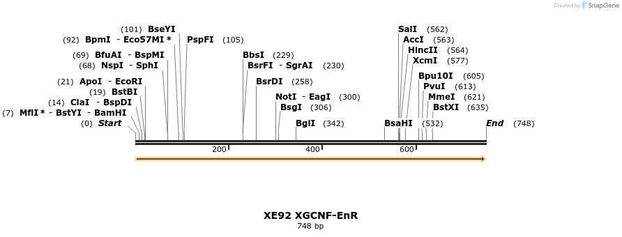 23457_map