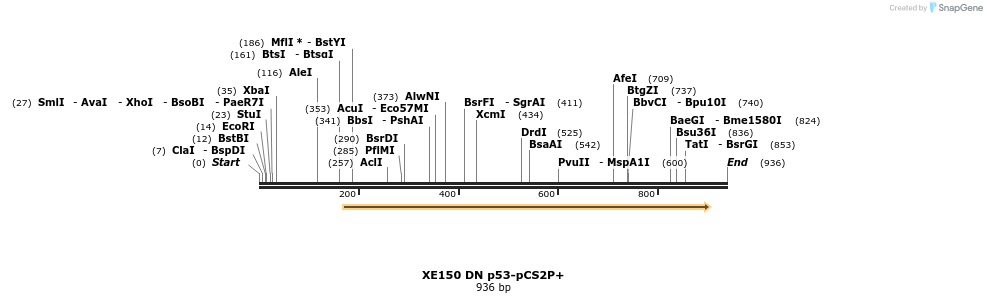23459_map