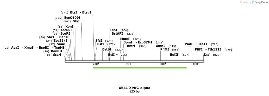 23467_map