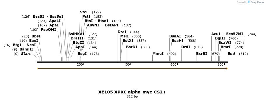23468_map