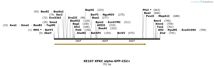 23469_map
