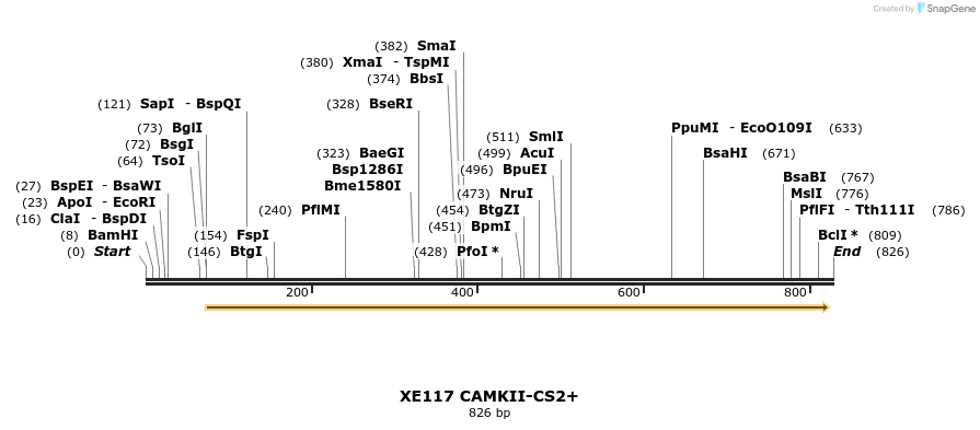 23470_map