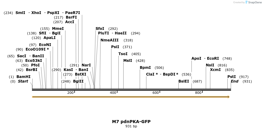 23473_map