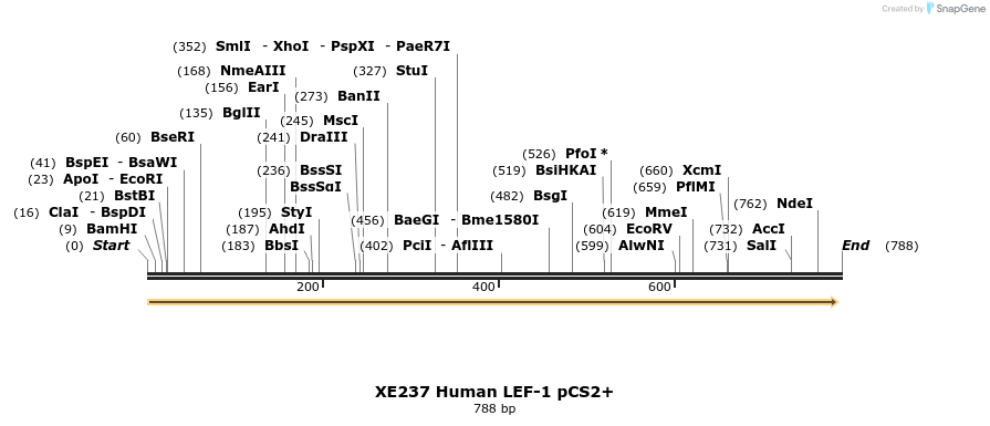 23474_map