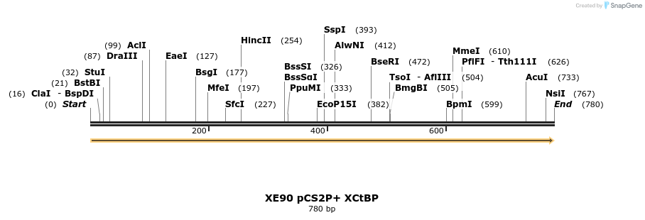23475_map