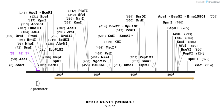 23476_map