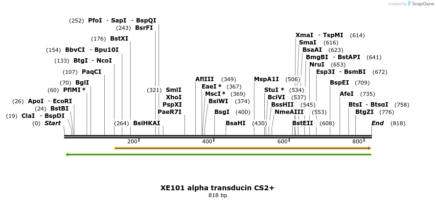23480_map
